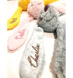 Gepersonaliseerde Richie Knuffel – Met naam op oor